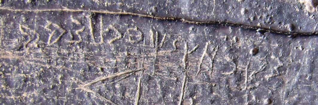 الشرعي ضركام5